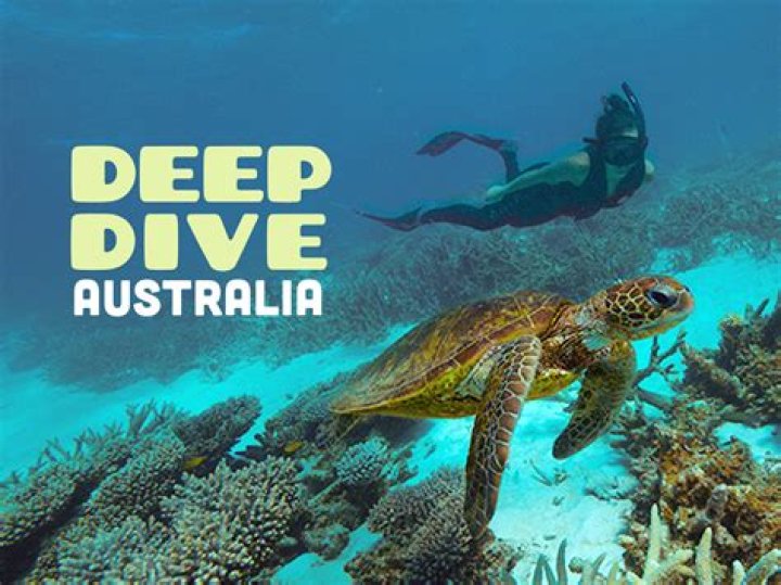 A Viral Video Deep Dive